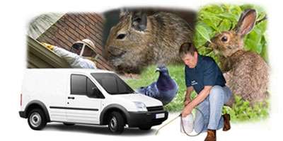 Gainsborough local van